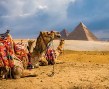 Египет - верблюд и пирамиды